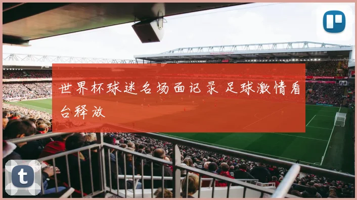 世界杯球迷名场面记录 足球激情看台释放