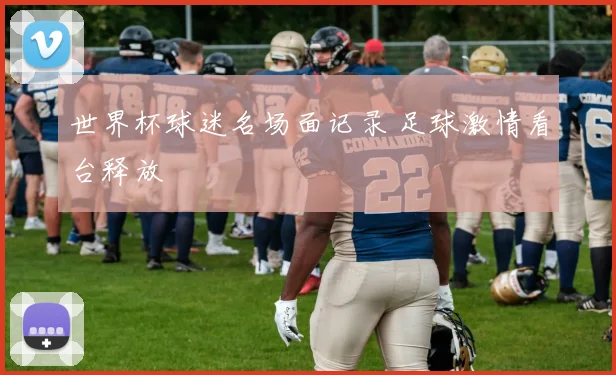 世界杯球迷名场面记录 足球激情看台释放