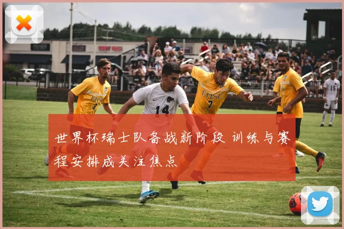 世界杯瑞士队备战新阶段 训练与赛程安排成关注焦点